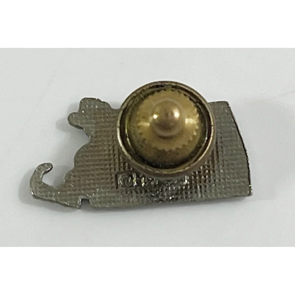 Massachusetts Lapel Pin‎